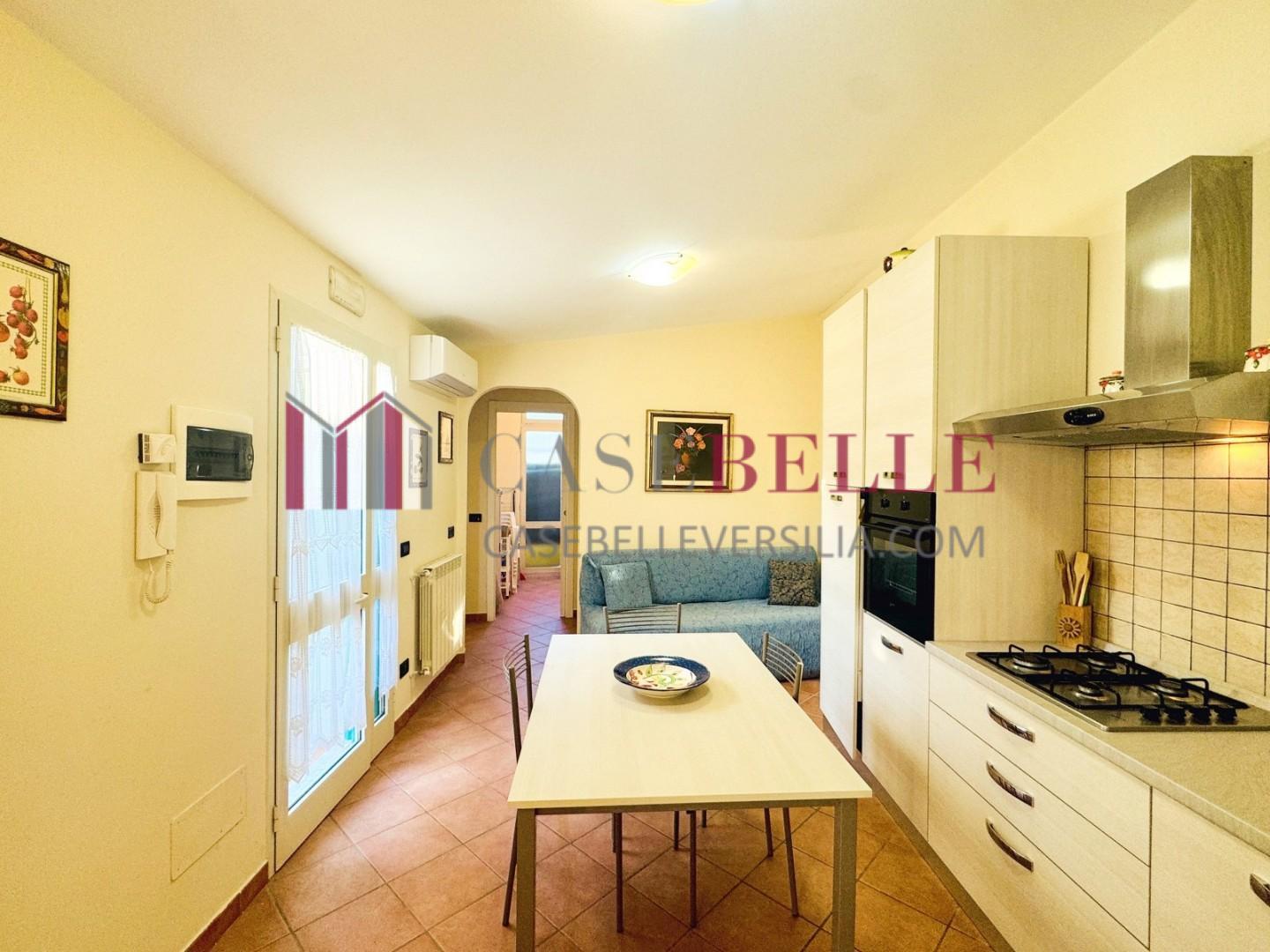 Casa indipendente arredata in affitto, Pietrasanta tonfano
