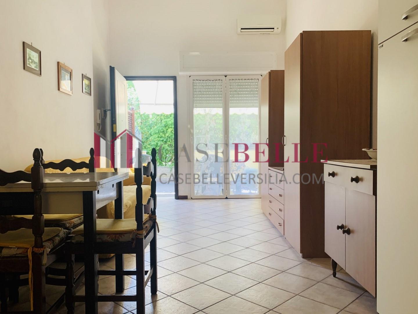 Bilocale arredato in affitto, Pietrasanta marina di