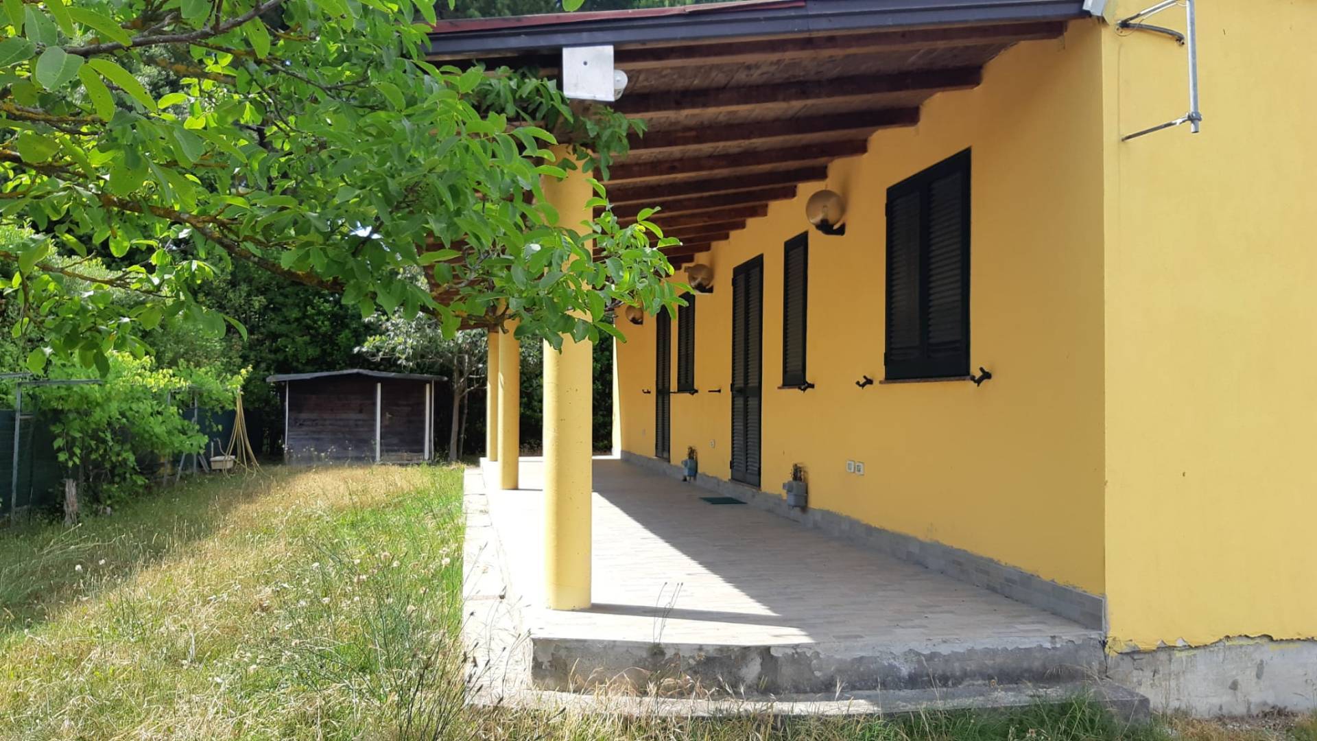 immagine annuncio 2 di 6
