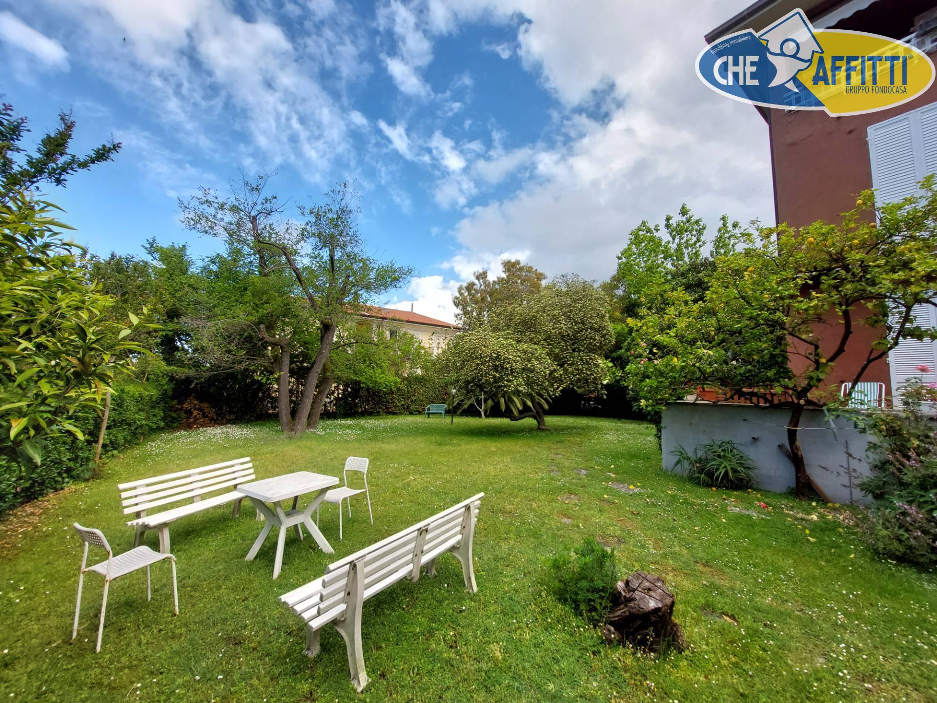 Appartamento in affitto a Massa, Marina di Massa