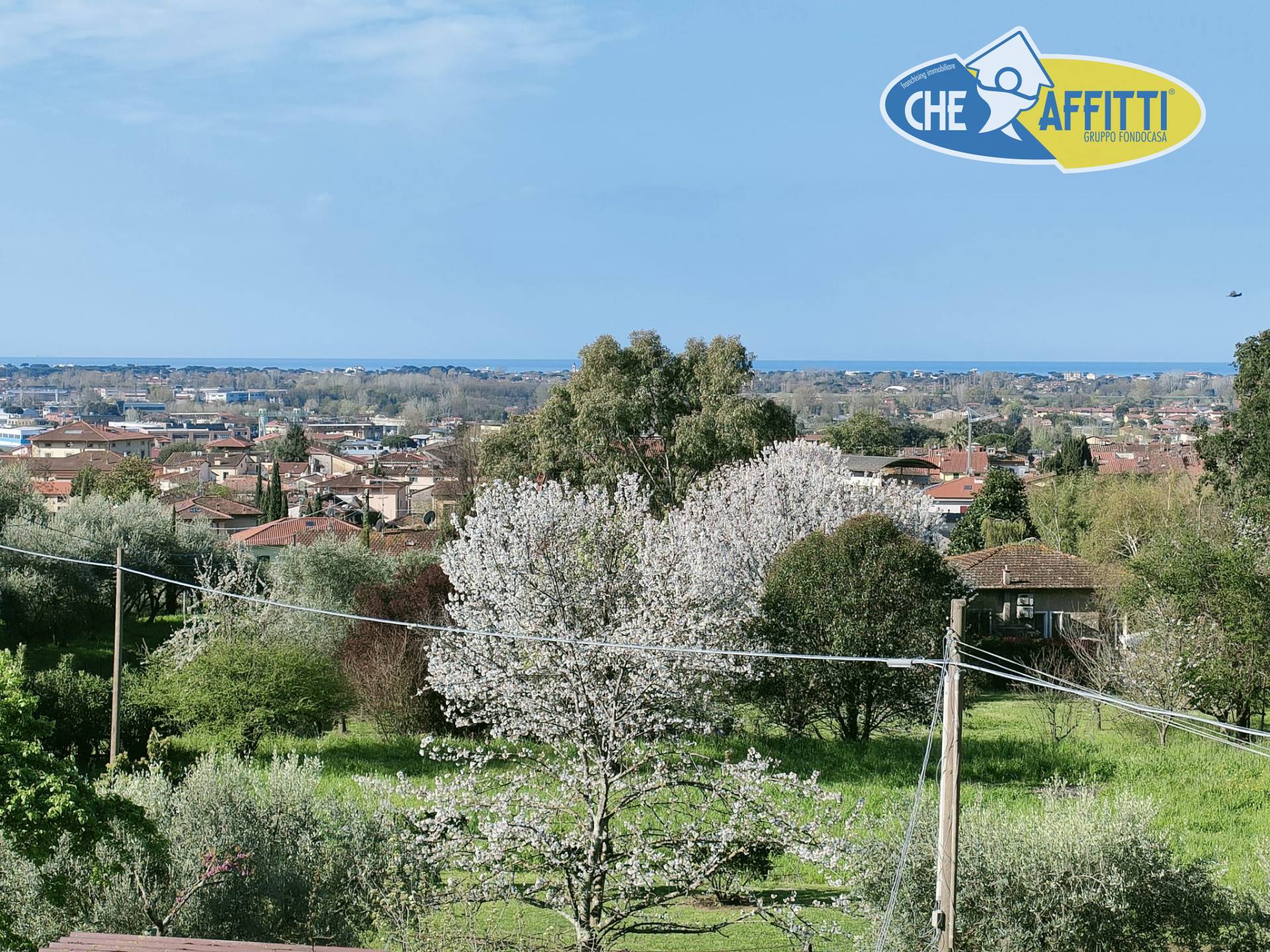 Villette a schiera in affitto a Pietrasanta