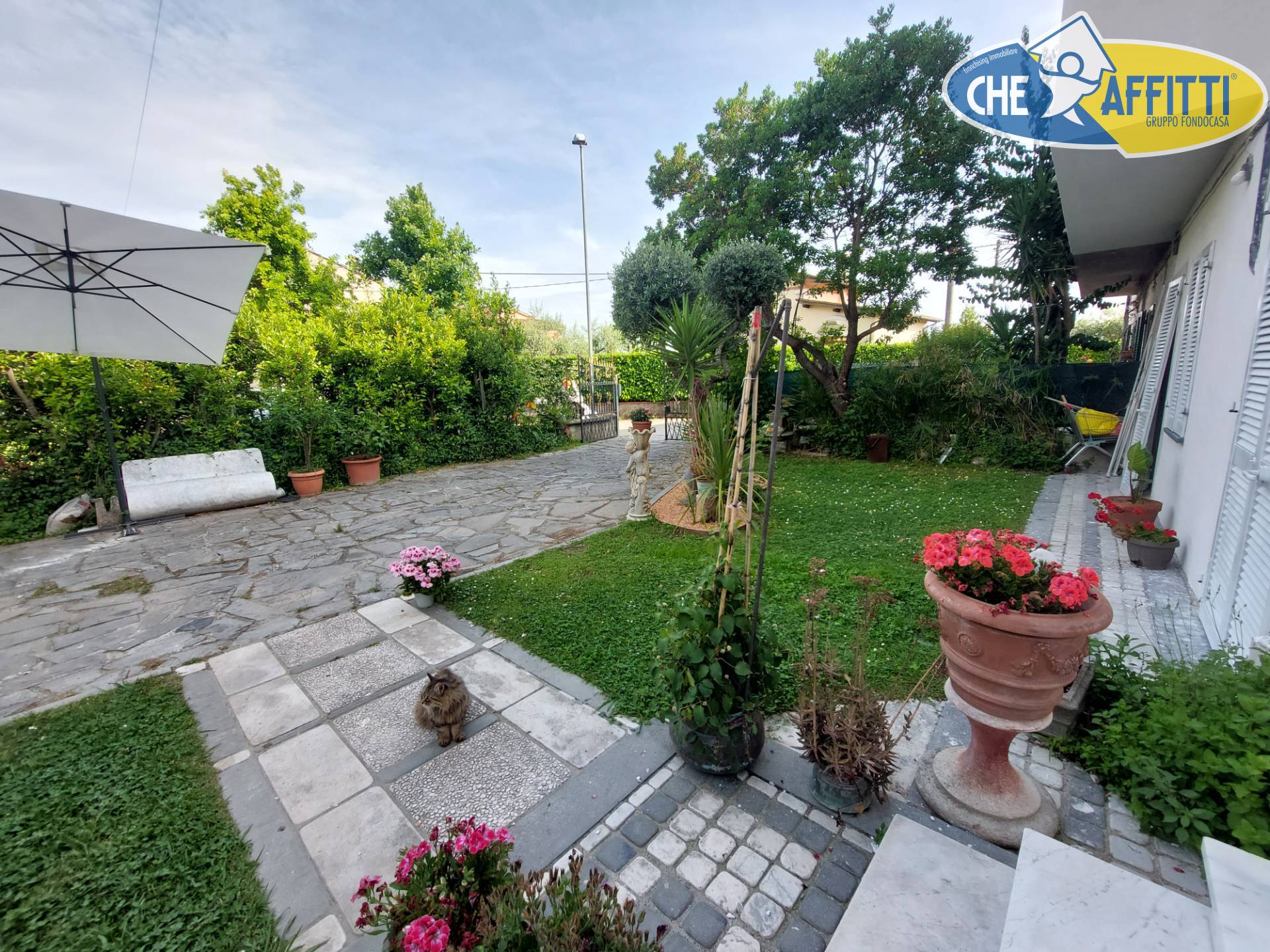 Indipendente in affitto a Pietrasanta