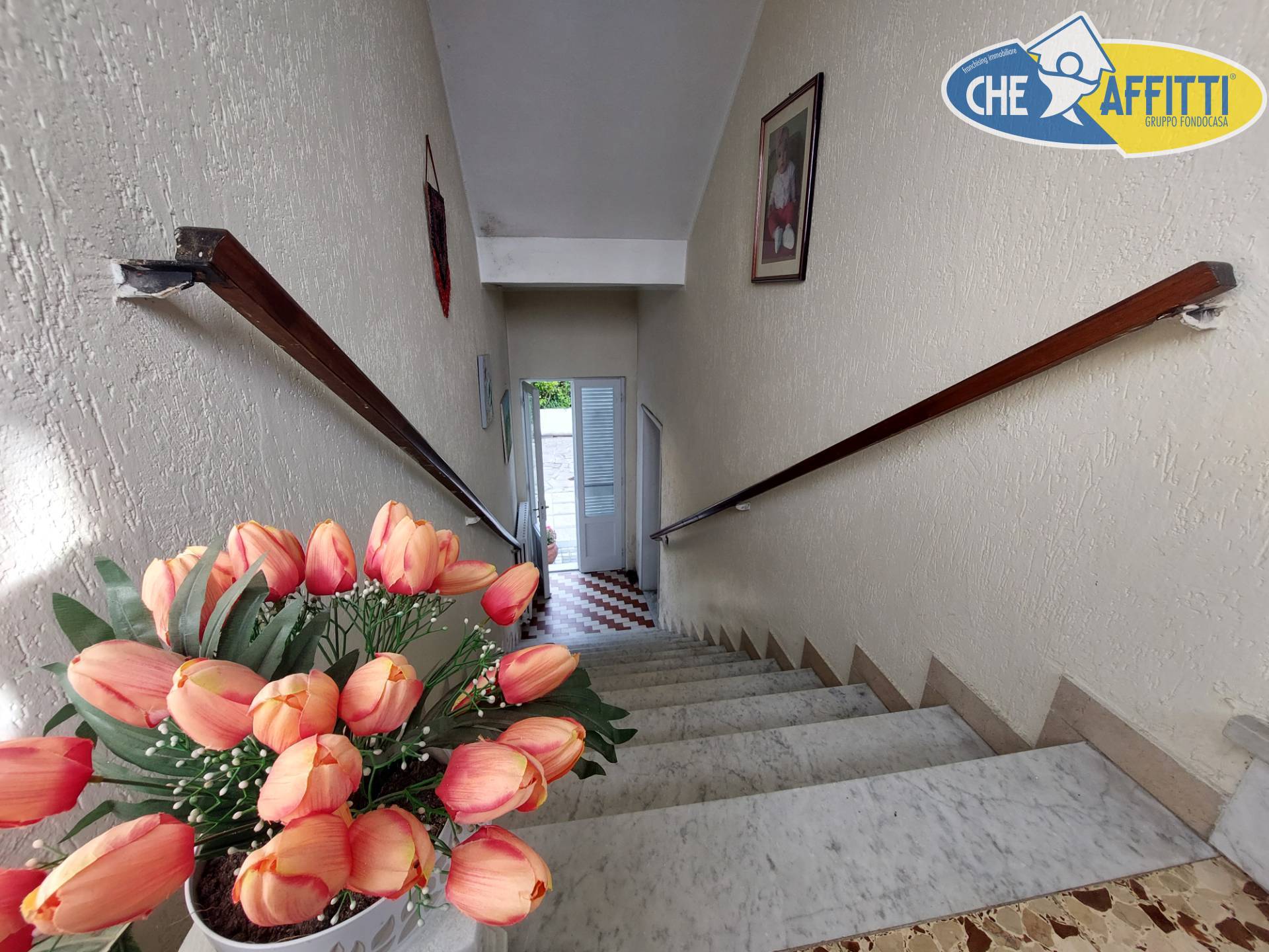 Indipendente in affitto a Pietrasanta