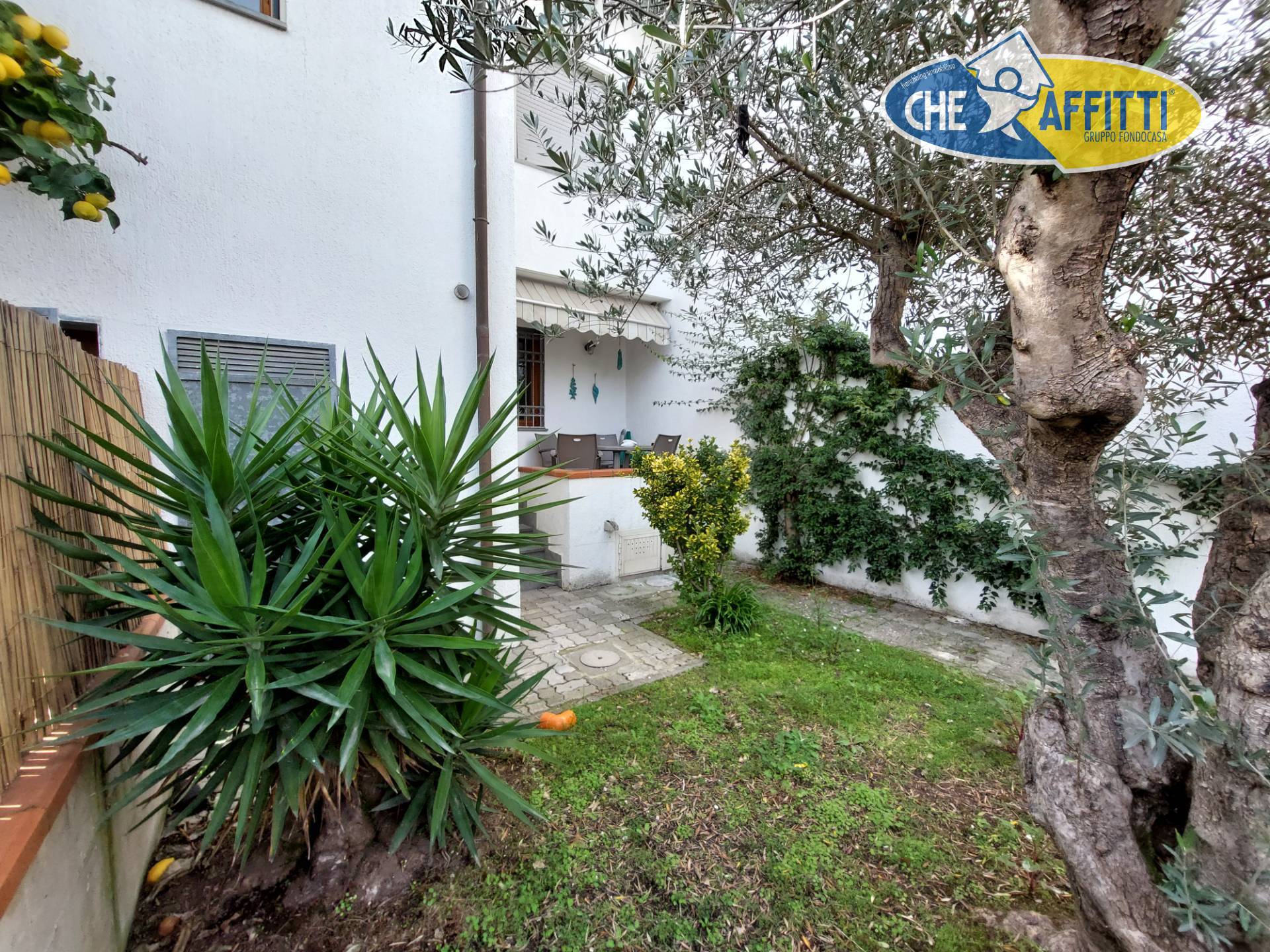 Villette a schiera in affitto a Pietrasanta, Marina di Pietrasanta