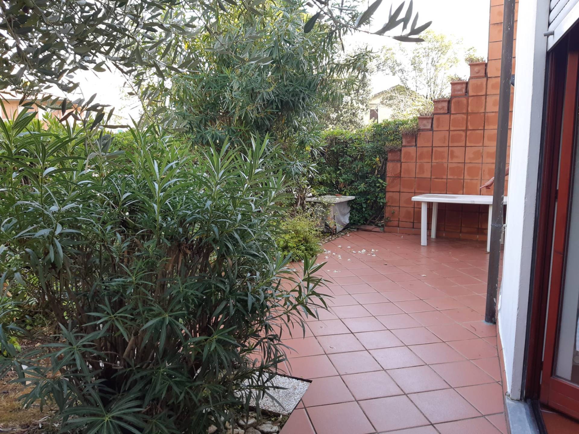 Appartamento in affitto a Massa, Marina di Massa