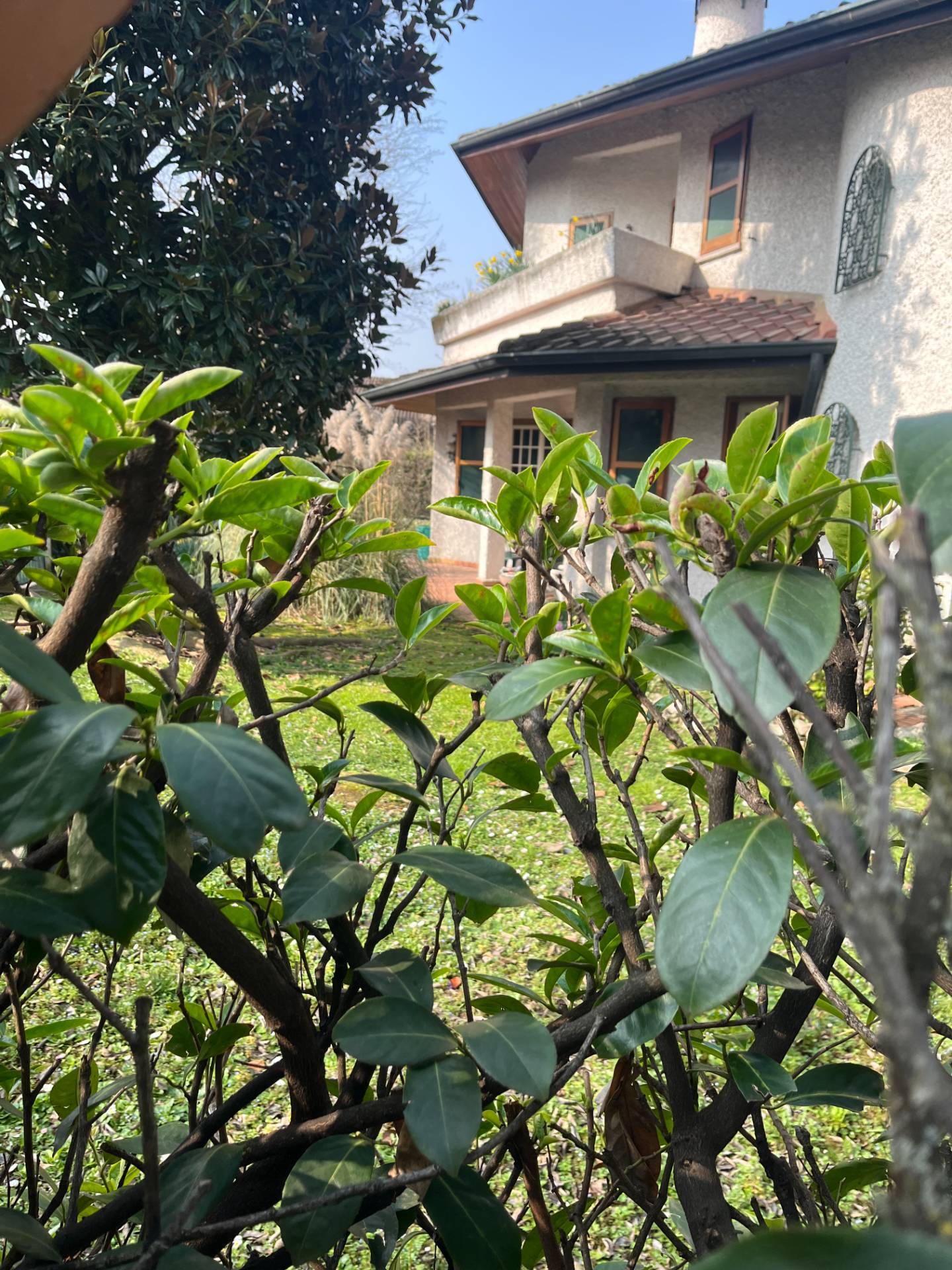 Villa in vendita a Cassina de' Pecchi, Camporicco