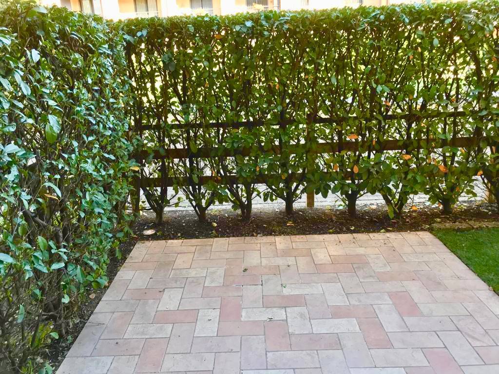 Appartamento in affitto a Cassina de' Pecchi