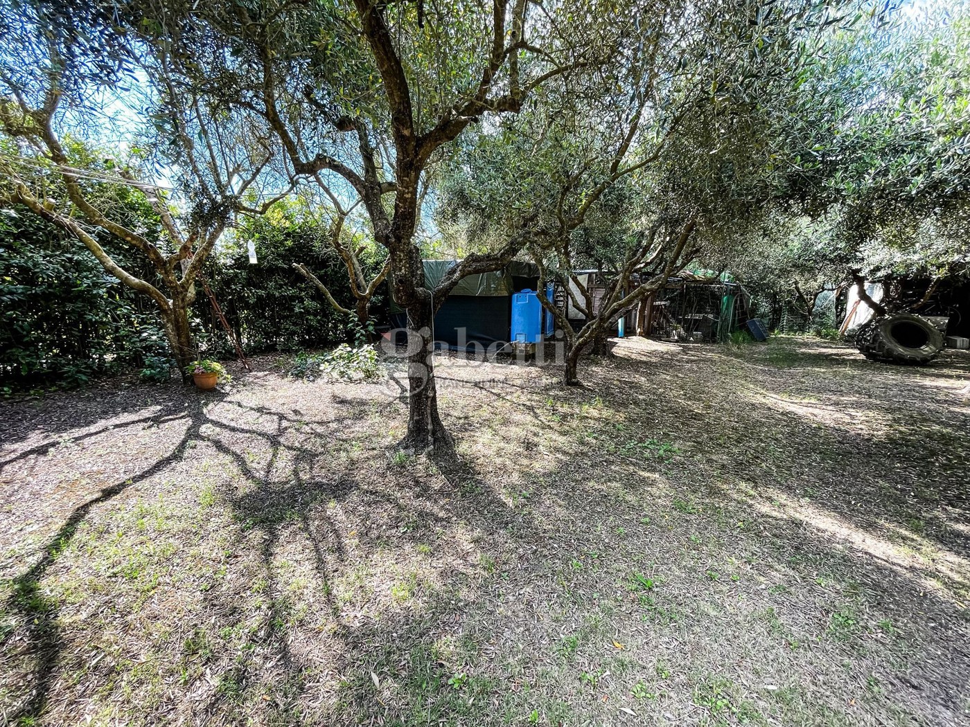 Terreno Agricolo in vendita a Grosseto