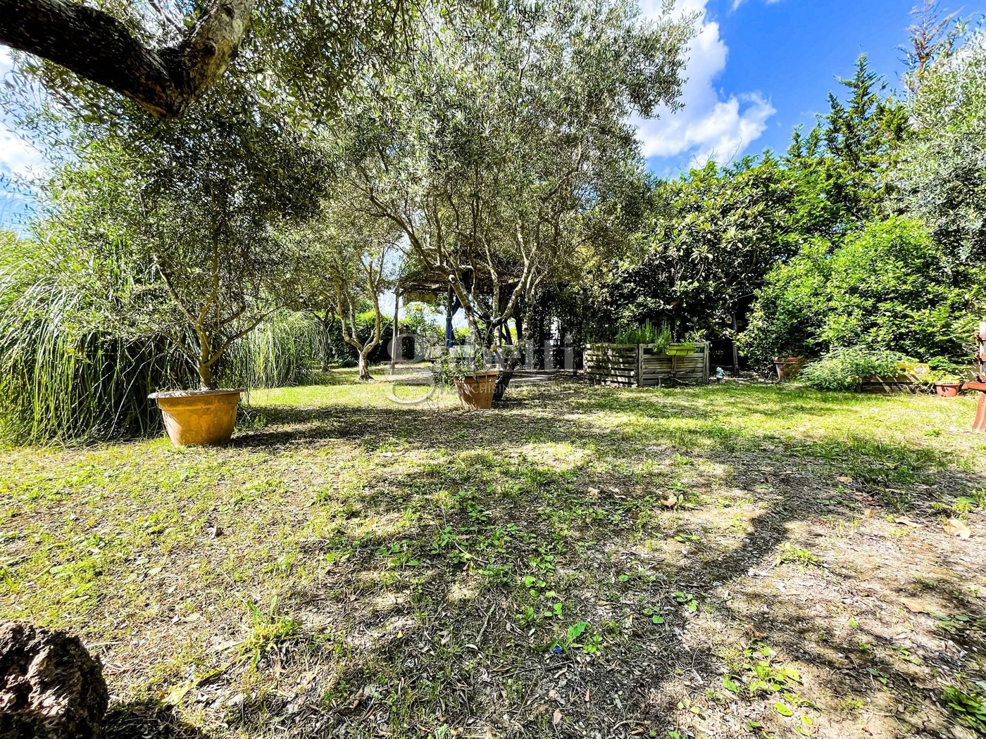 Terreno Agricolo in vendita a Grosseto