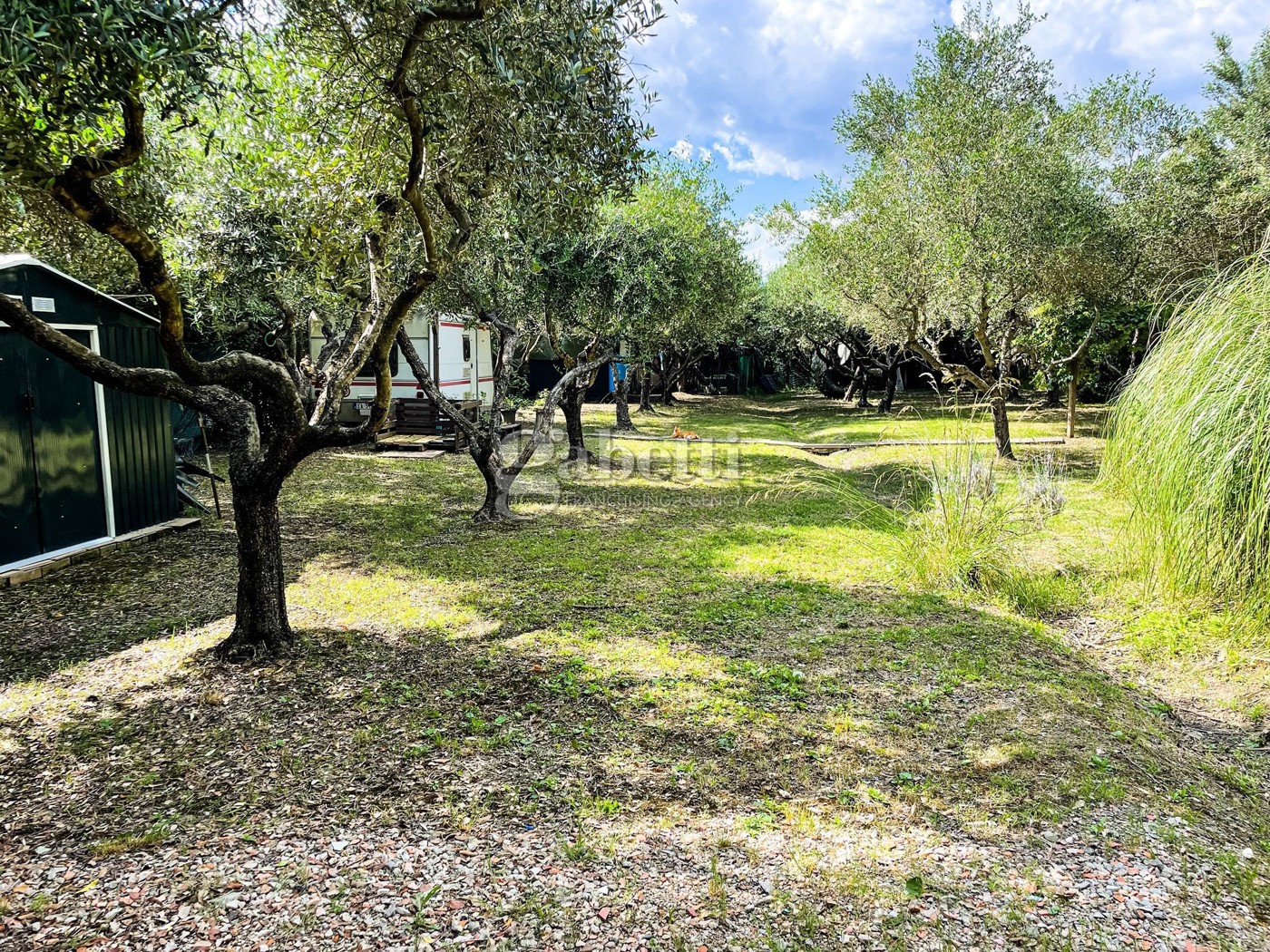 Terreno Agricolo in vendita a Grosseto