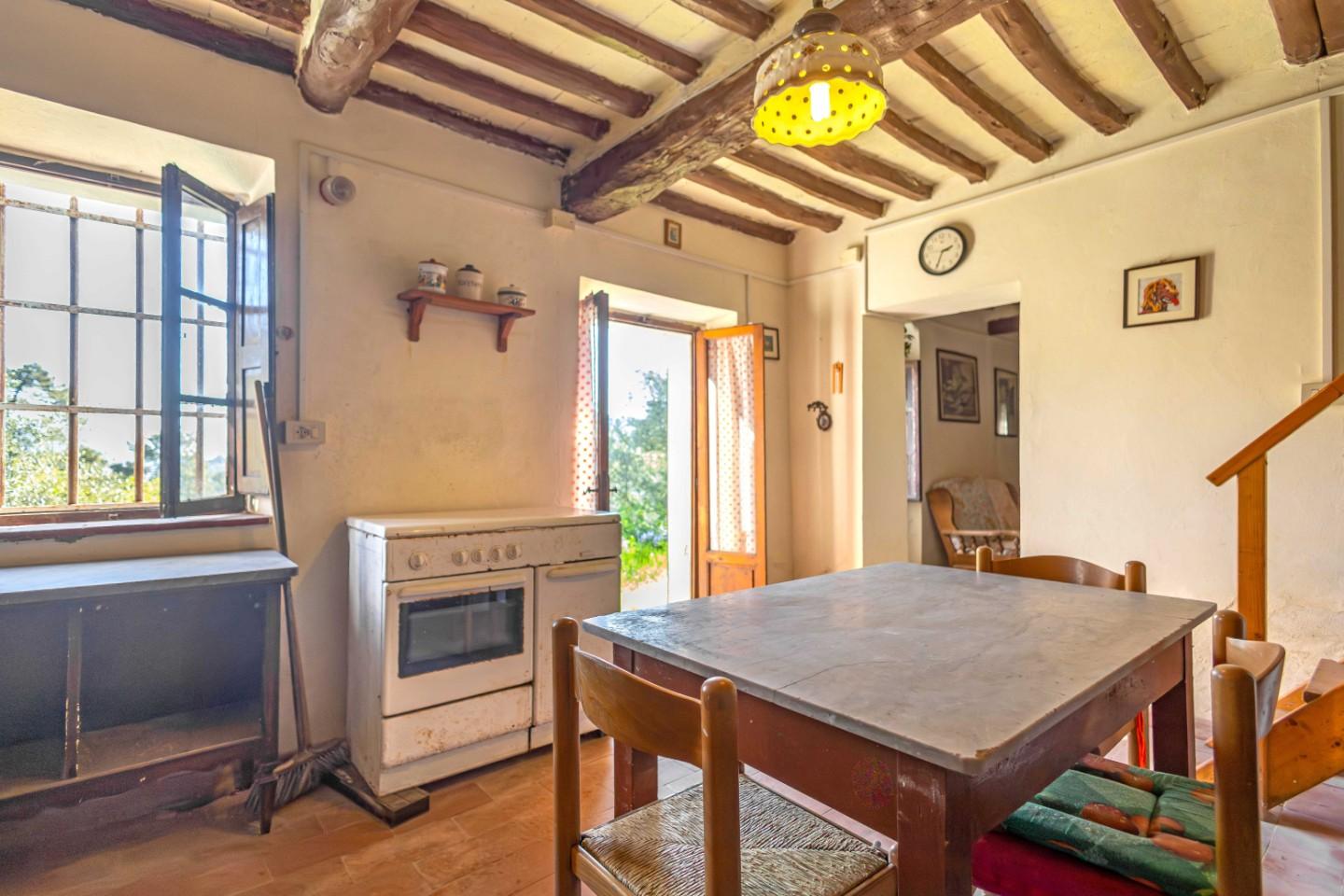 Rustico con giardino, Buti cascine