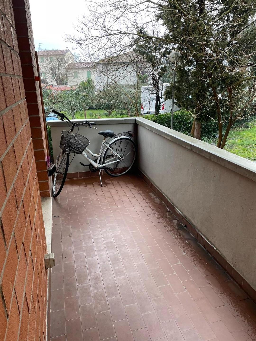 Bilocale arredato in affitto, Pisa cisanello