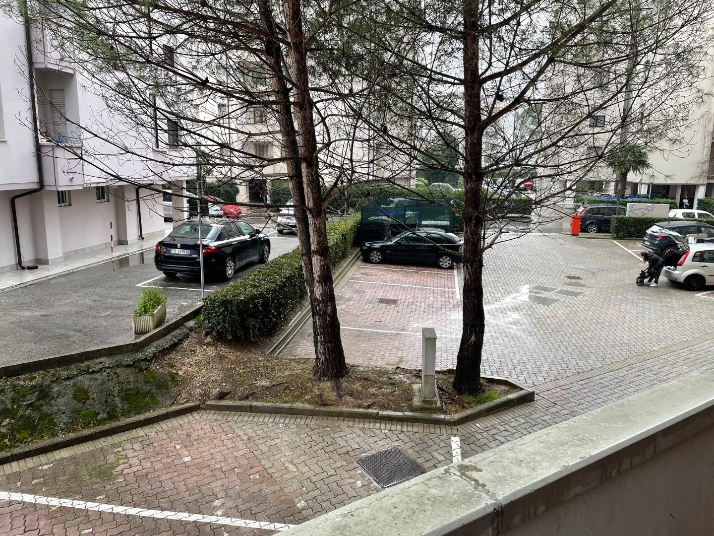 Bilocale arredato in affitto, Pisa cisanello