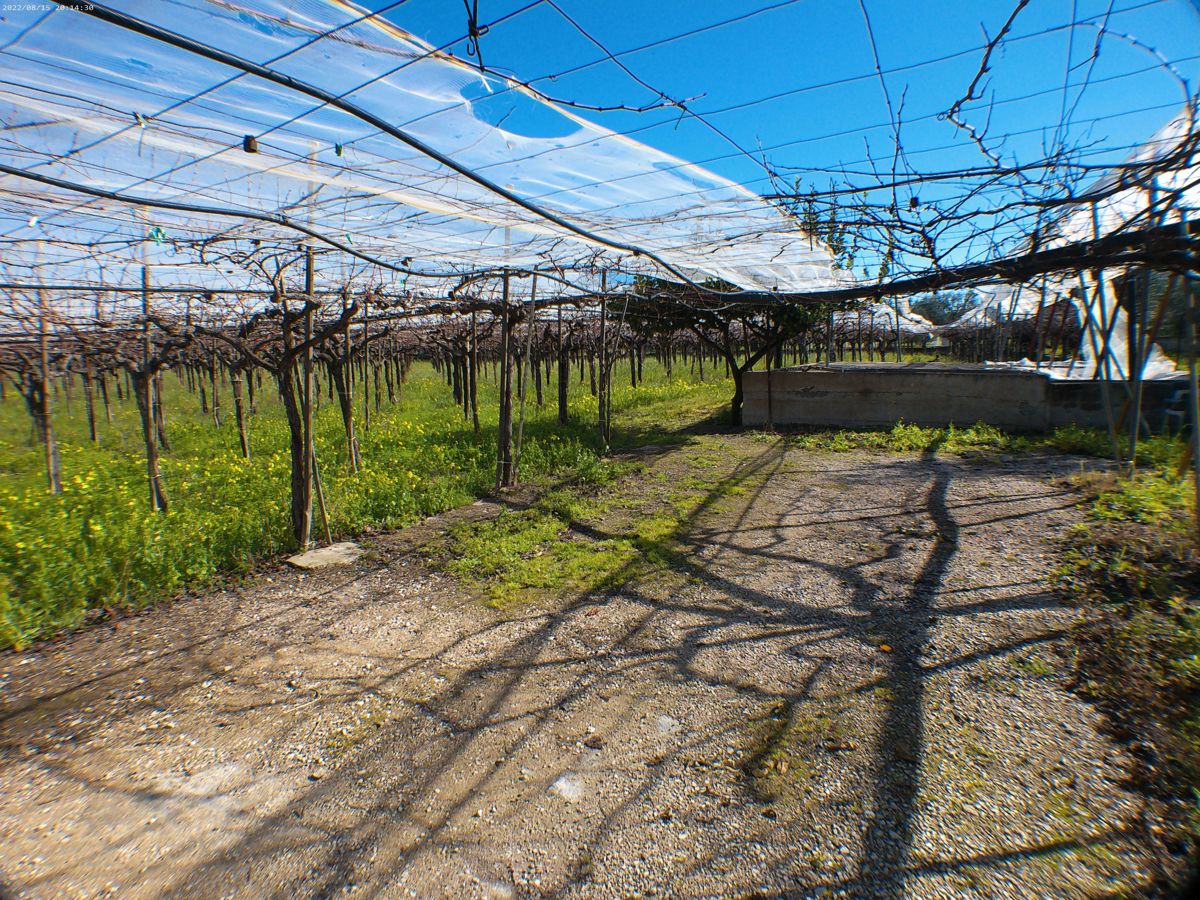 Terreno Agricolo in vendita a Trani