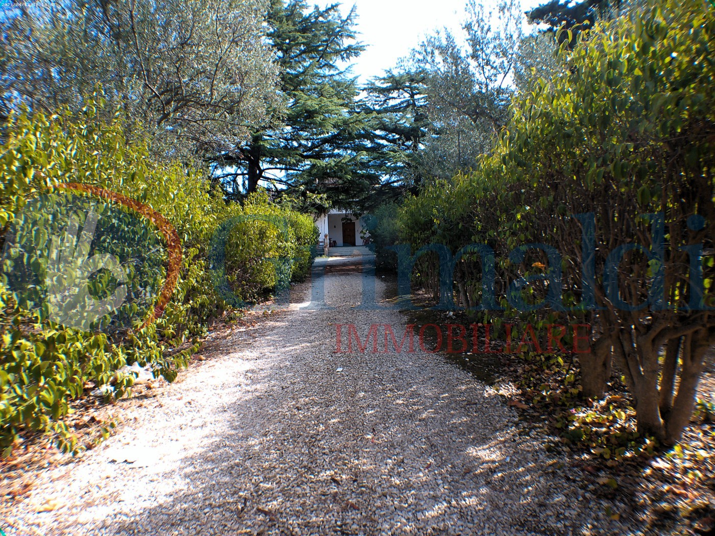 Villa Bifamiliare con giardino a Molfetta