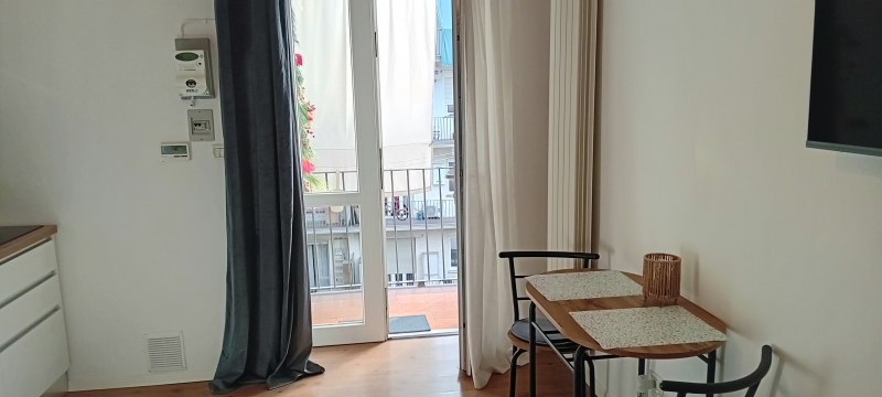 Monolocale ristrutturato a Torino