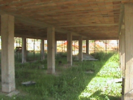 Terreno classe A4 a Montecorice