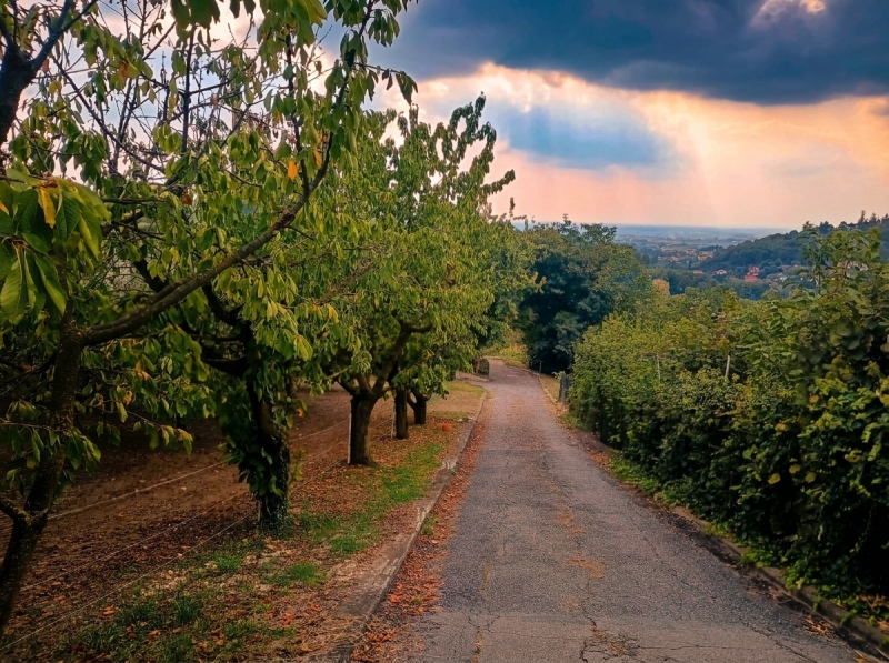Terreno classe A4 a Moncalieri
