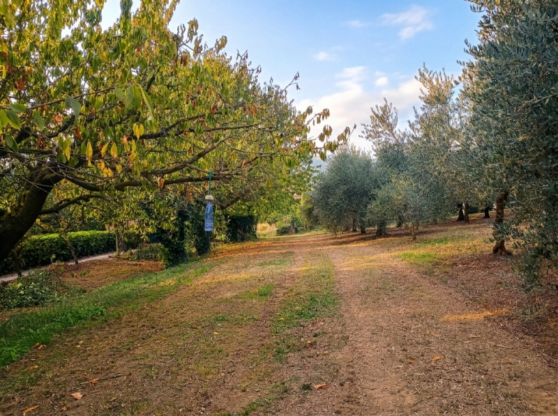 Terreno classe A4 a Moncalieri