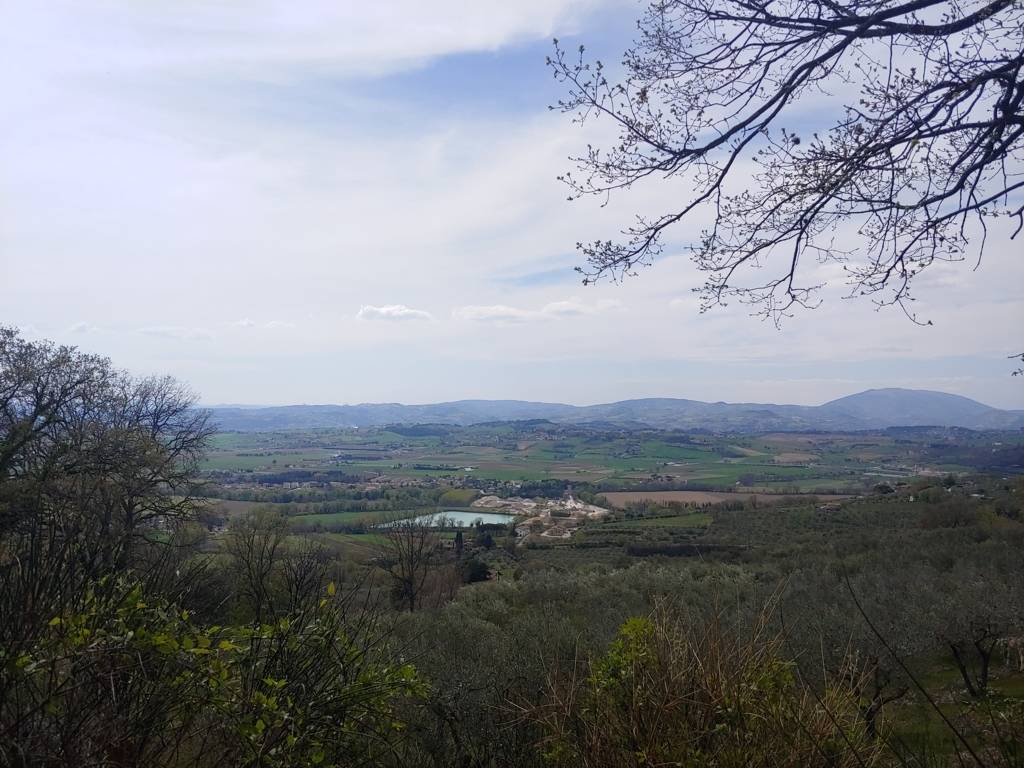 Terreno Agricolo in vendita a Assisi, Rocca Sant'Angelo