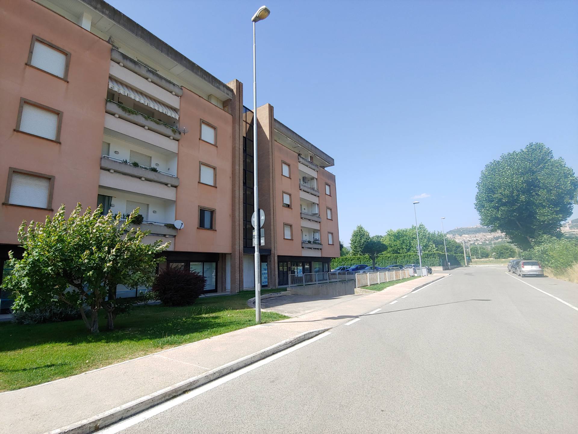 immagine annuncio 2 di 6