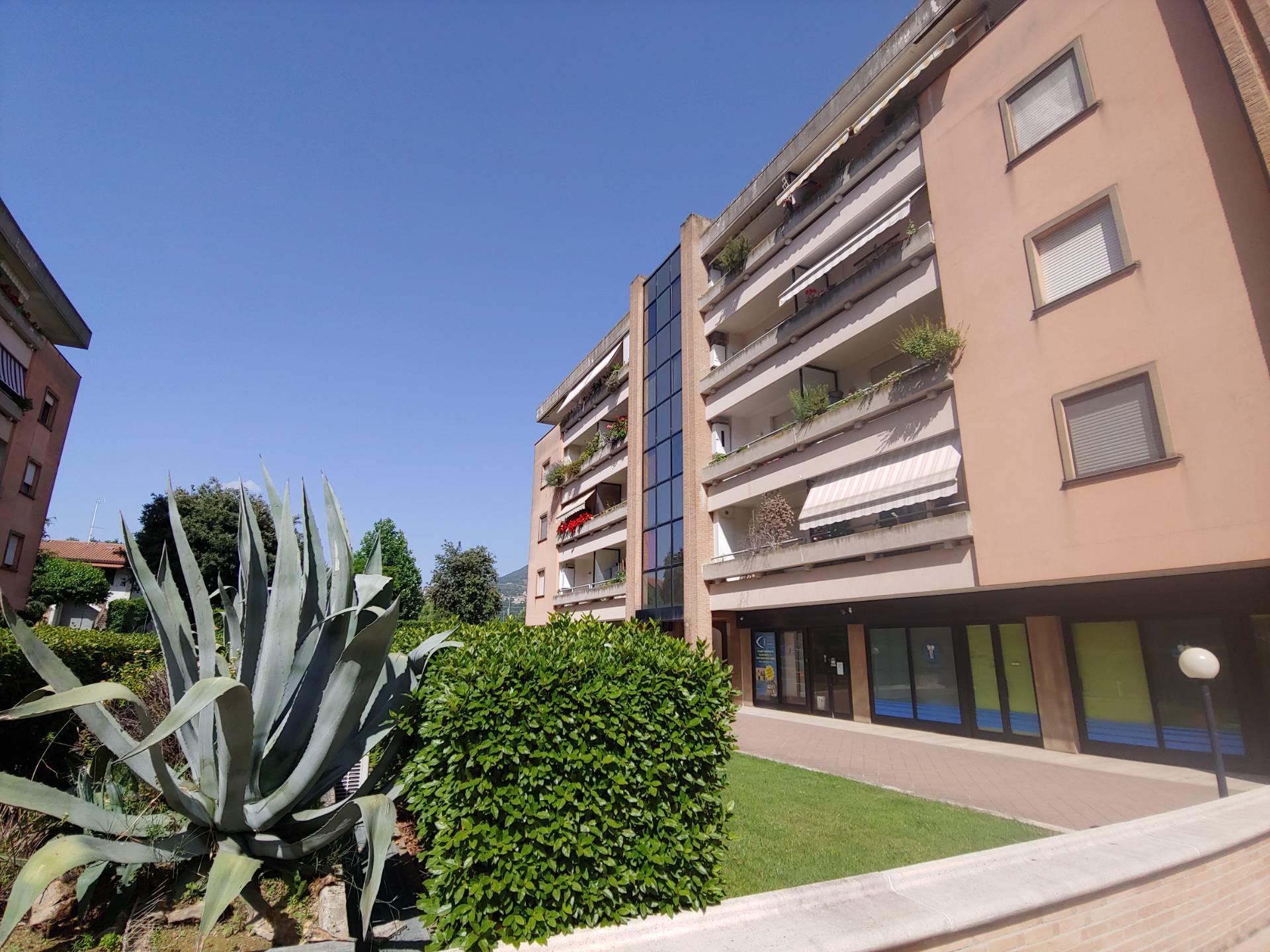 immagine annuncio 4 di 6