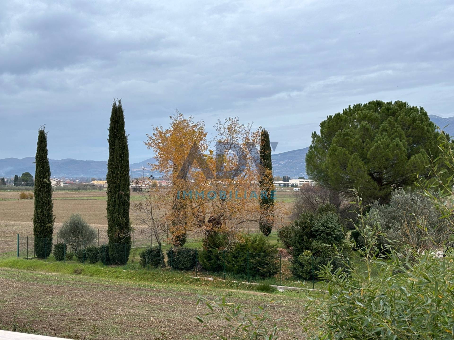 Quadrifamiliare in vendita a Cannara