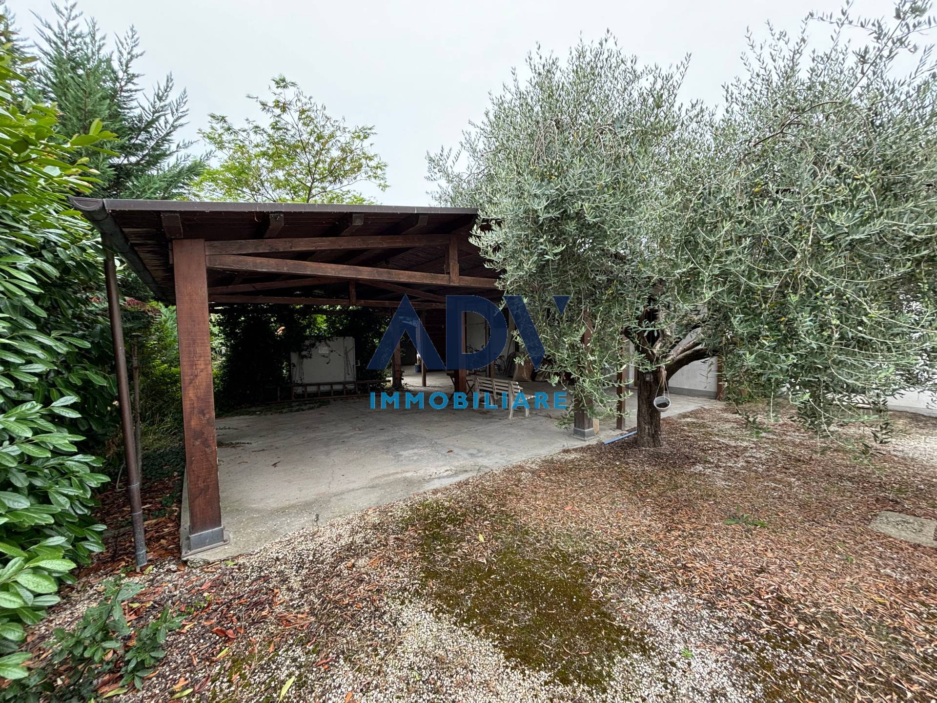 immagine annuncio 5 di 6
