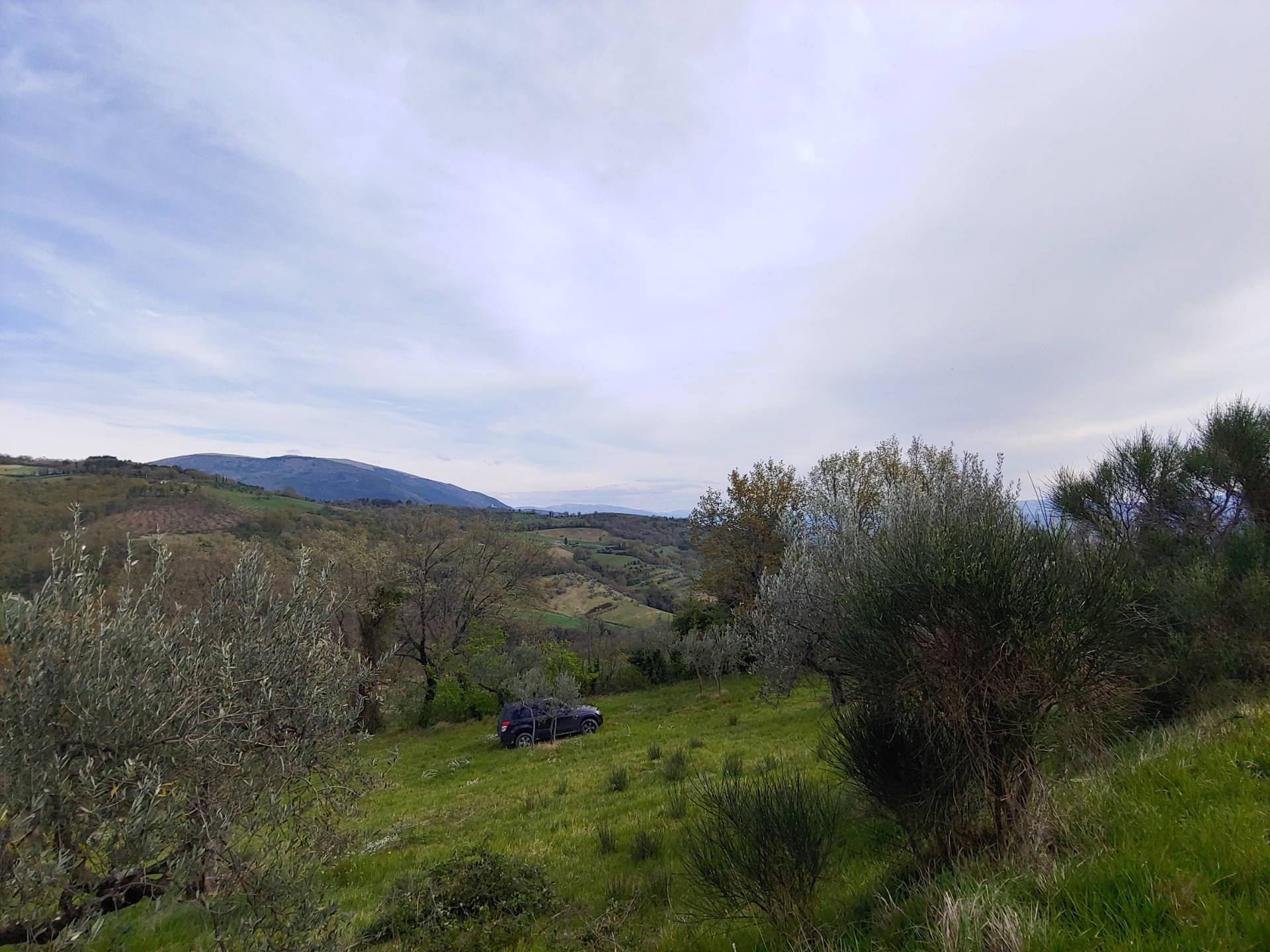 immagine annuncio 3 di 6