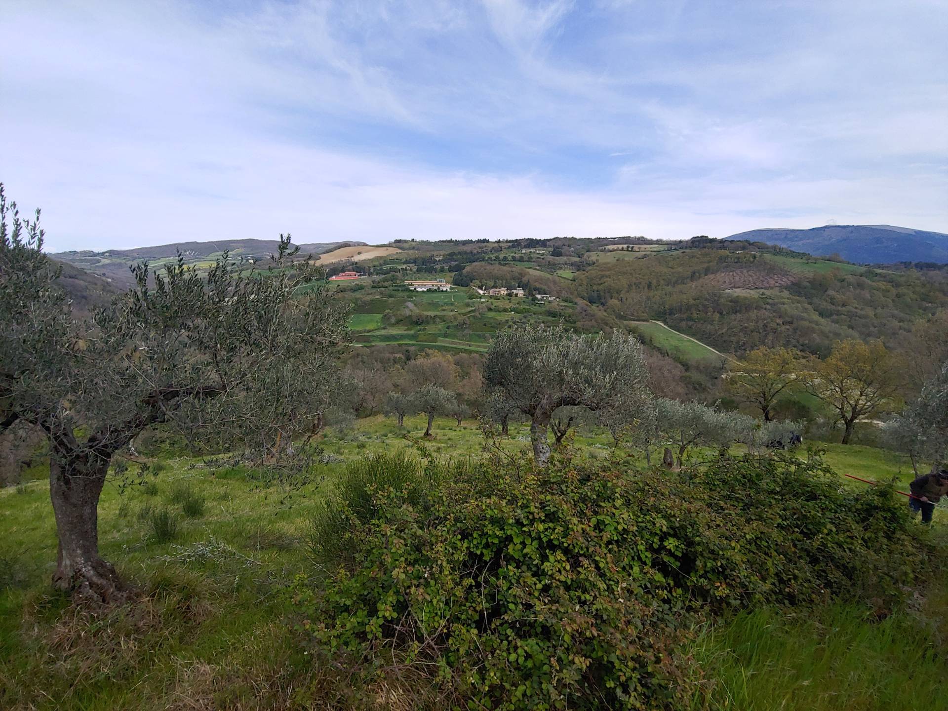 immagine annuncio 5 di 6