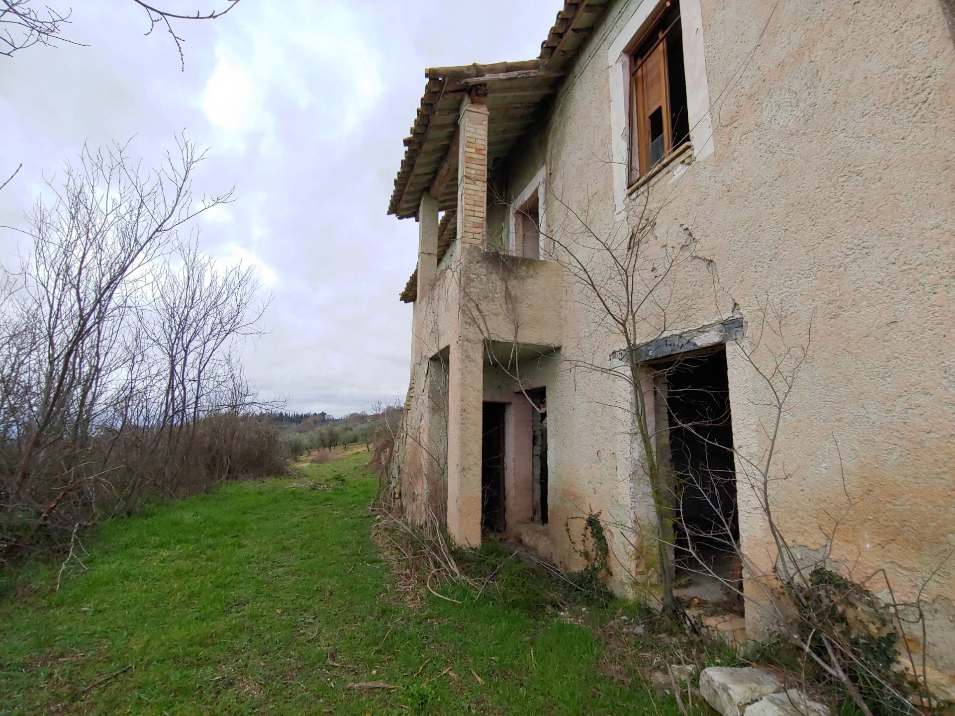 immagine annuncio 2 di 6