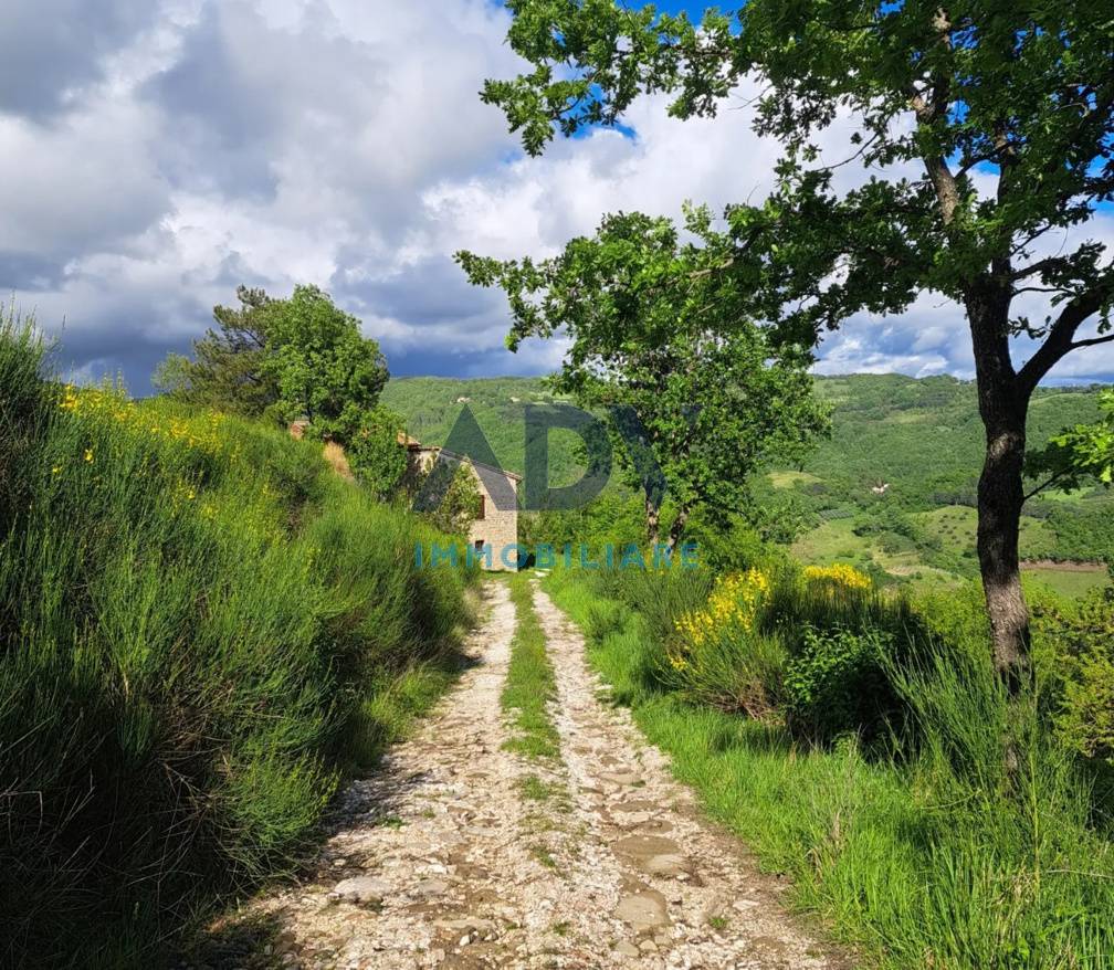 Casale in vendita a Assisi, Porziano