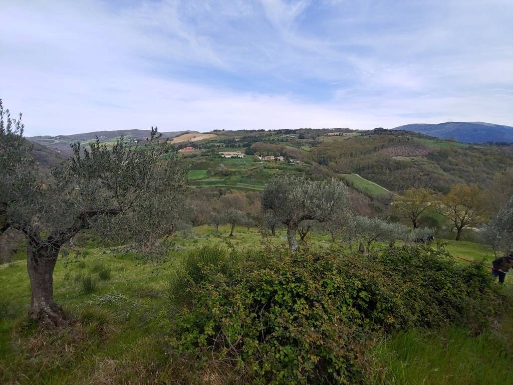Terreno Agricolo in vendita a Assisi, Tordibetto