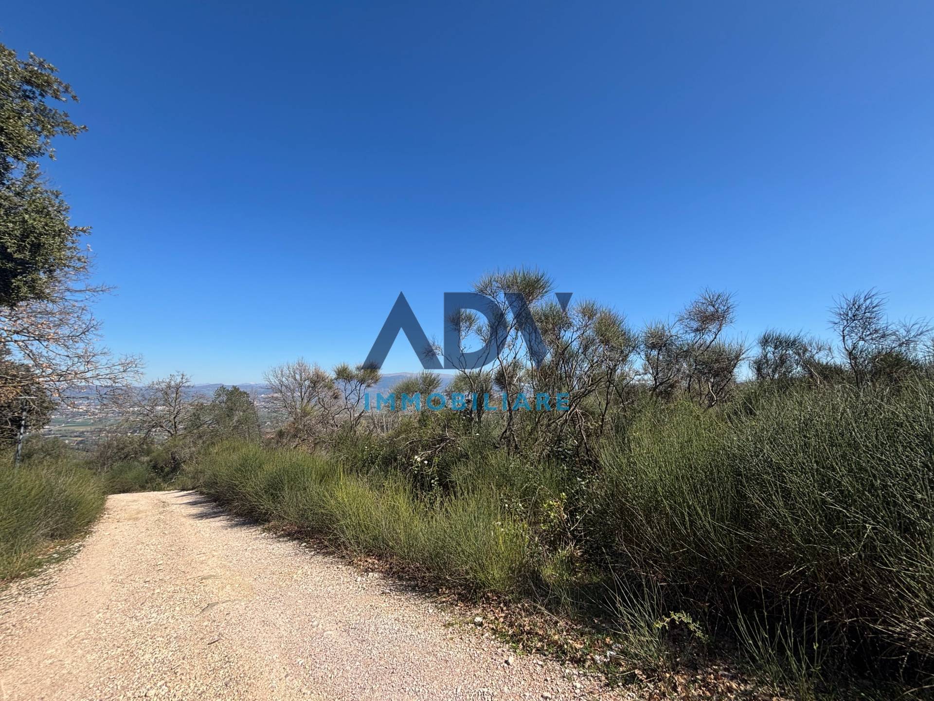 Terreno edificabile in vendita a Bettona