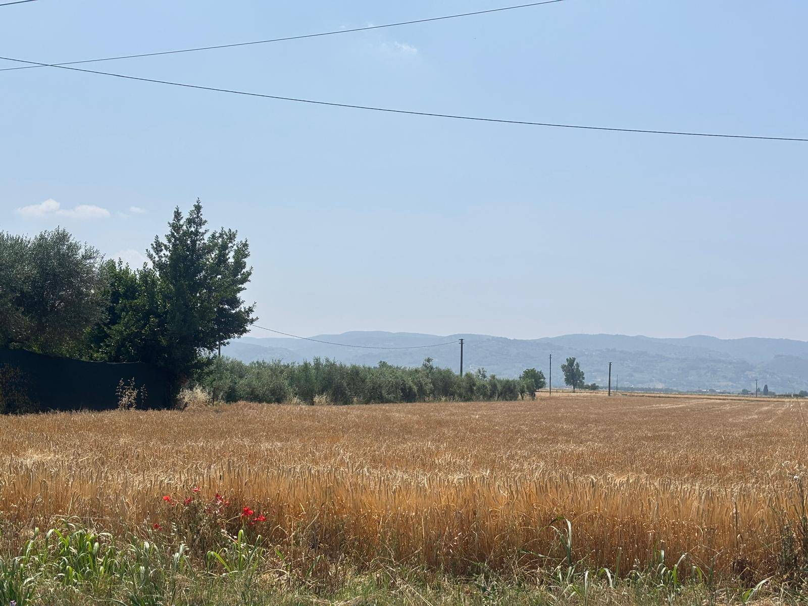 Terreno edificabile in vendita a Bastia Umbra, Cipresso