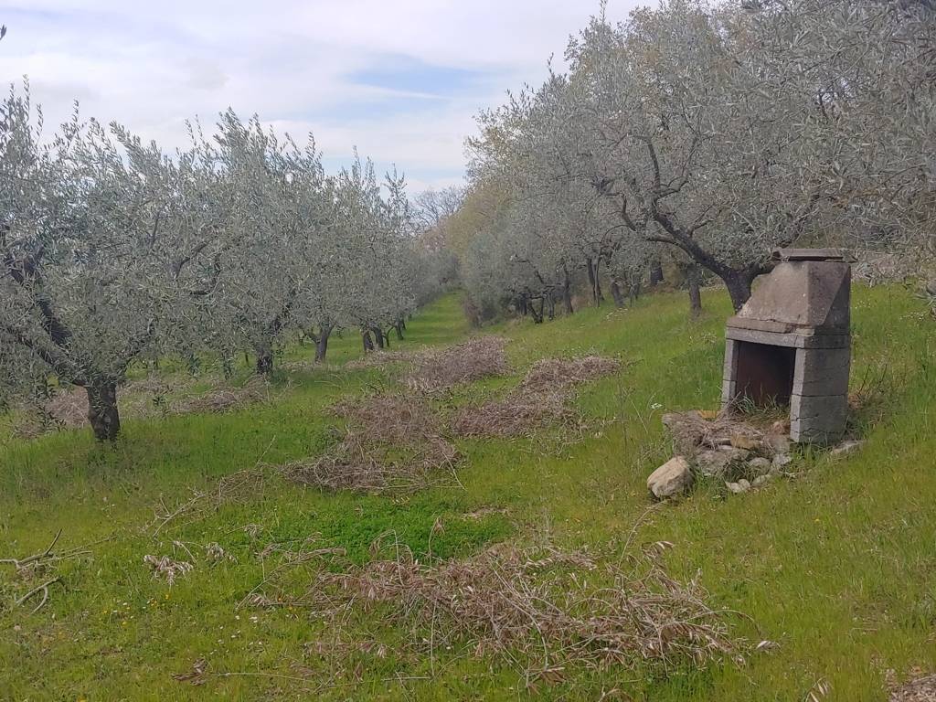 immagine annuncio 6 di 9