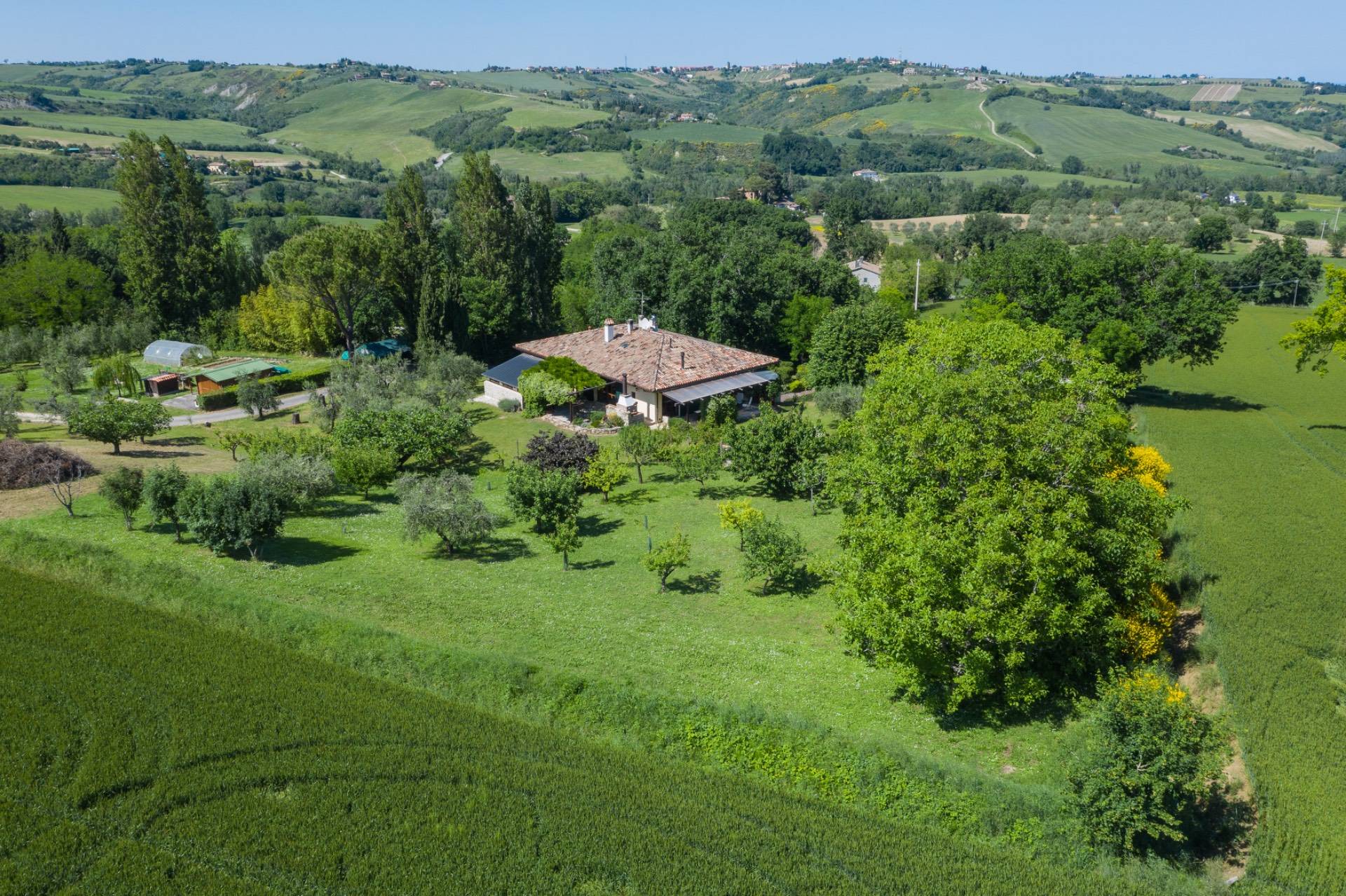 immagine annuncio 4 di 10