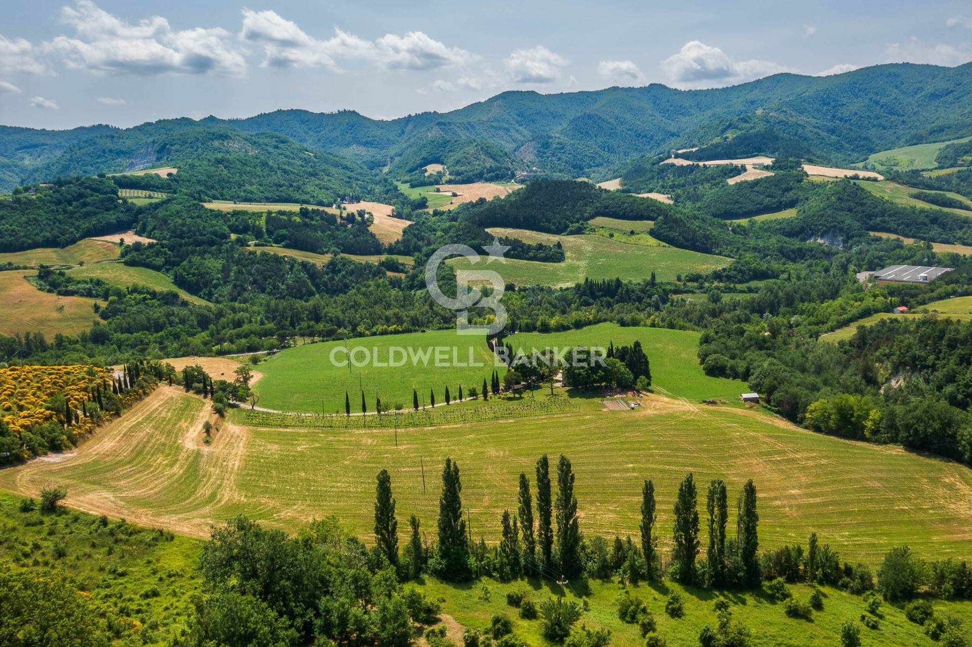 Rustico/Casale/Corte in vendita a Rocca San Casciano