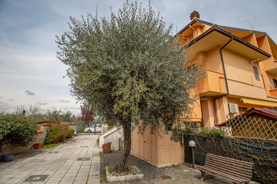 Casa indipendente con giardino in via bologna 17, Cepagatti