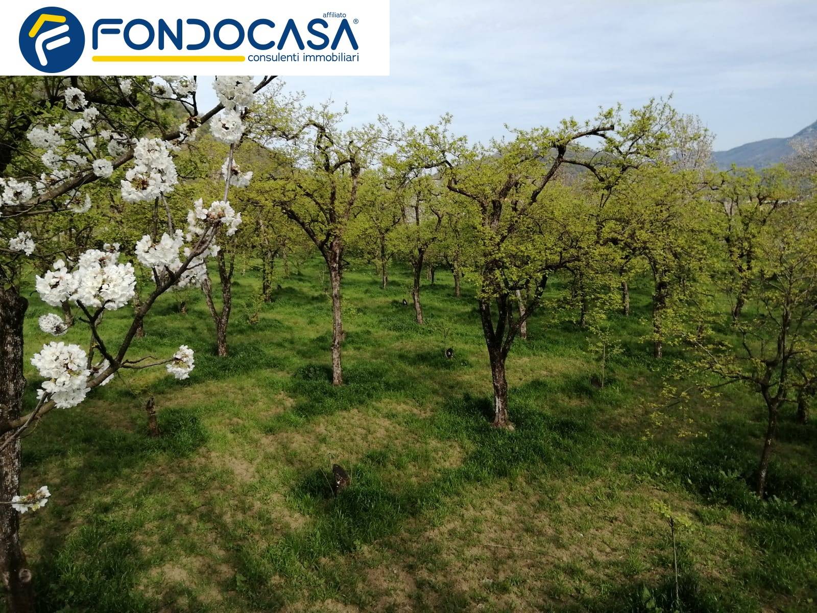 Terreno Agricolo in vendita a Roccapiemonte