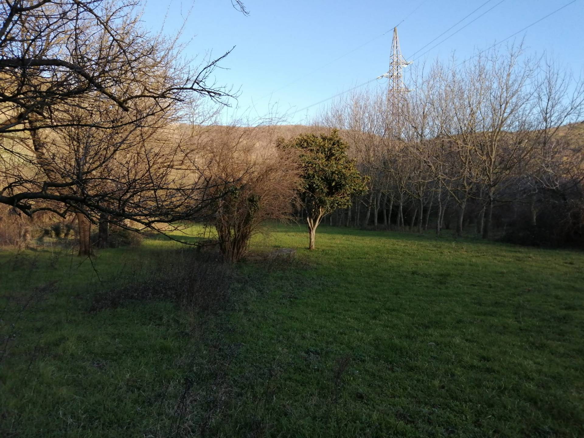 Terreno Agricolo in vendita a Mercato San Severino