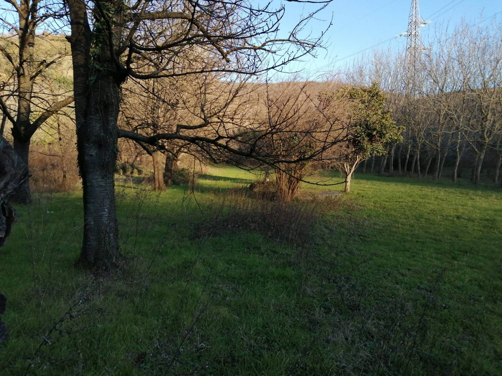 Terreno Agricolo in vendita a Mercato San Severino