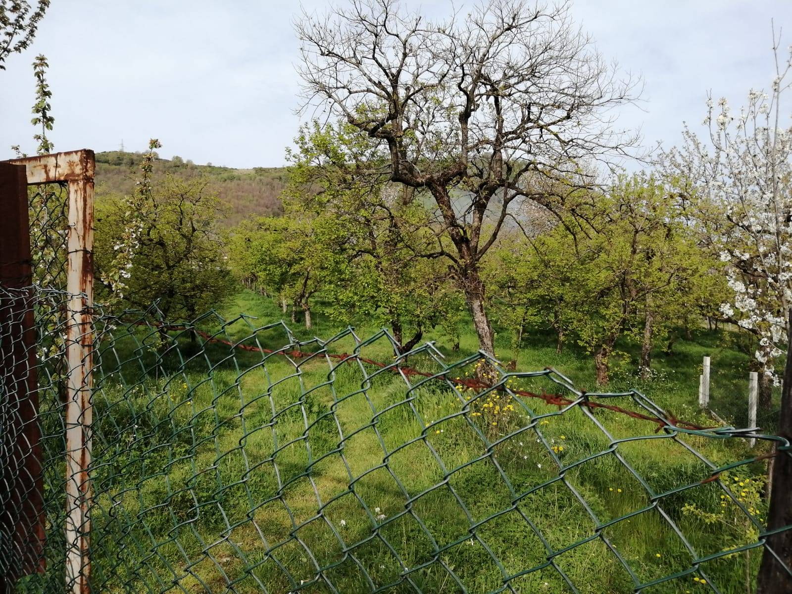 Terreno Agricolo in vendita a Roccapiemonte