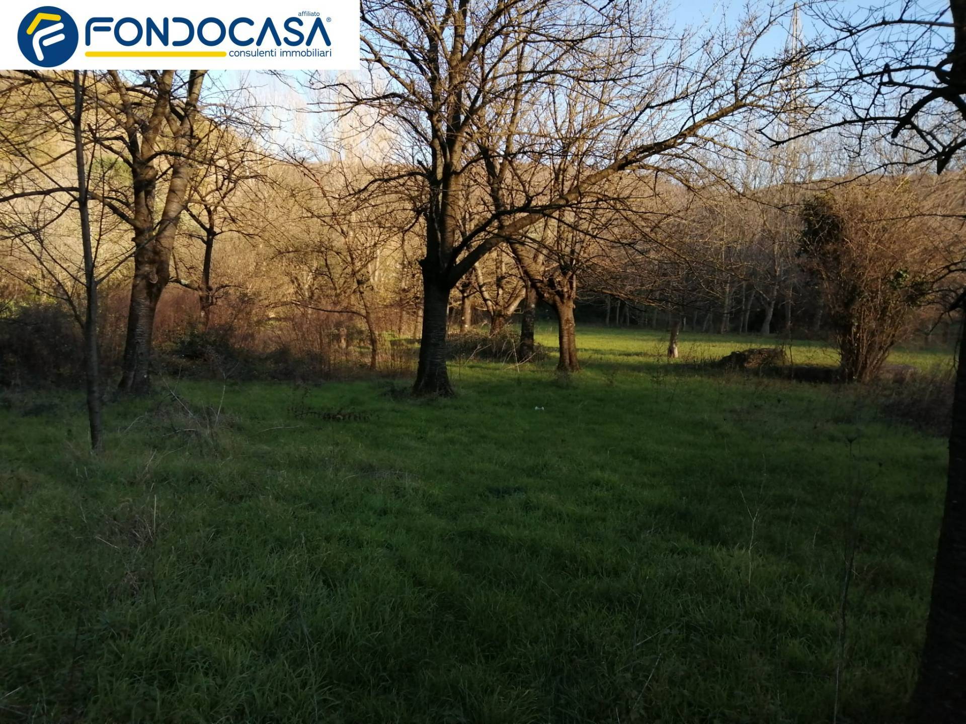 Terreno Agricolo in vendita a Mercato San Severino