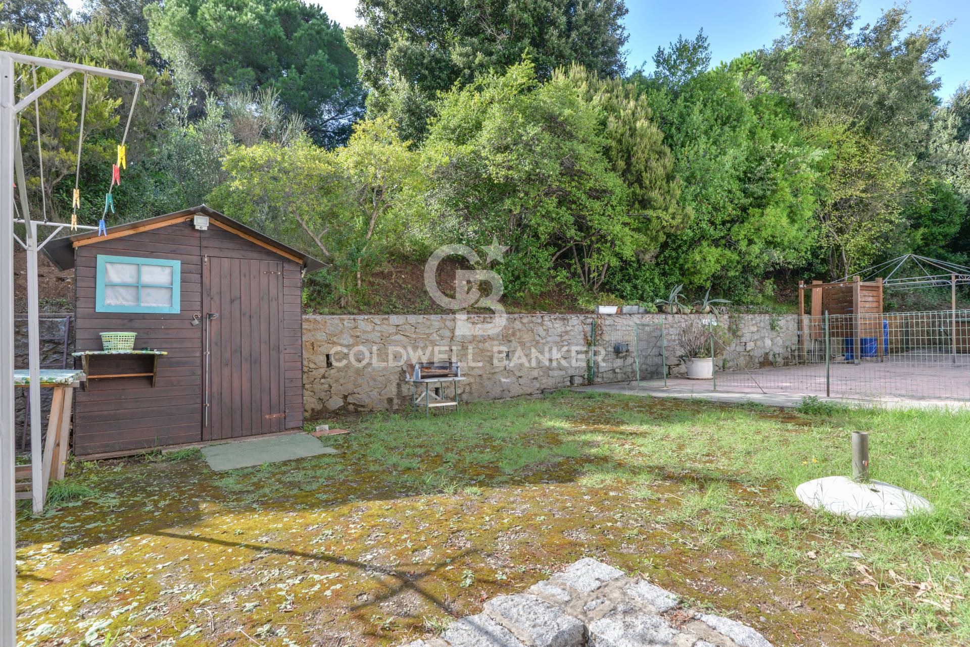 Appartamento in vendita a Marciana, Procchio