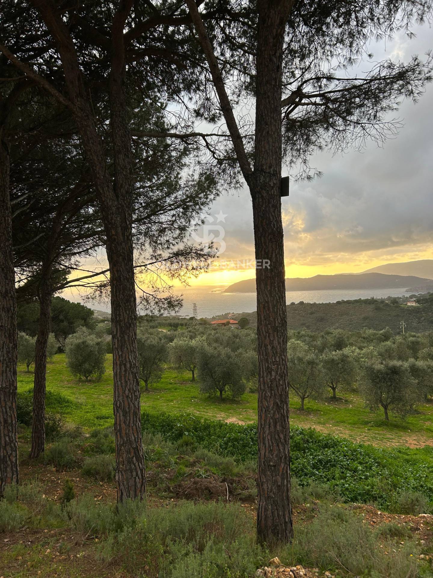 Terreno agricolo in vendita a Porto Azzurro