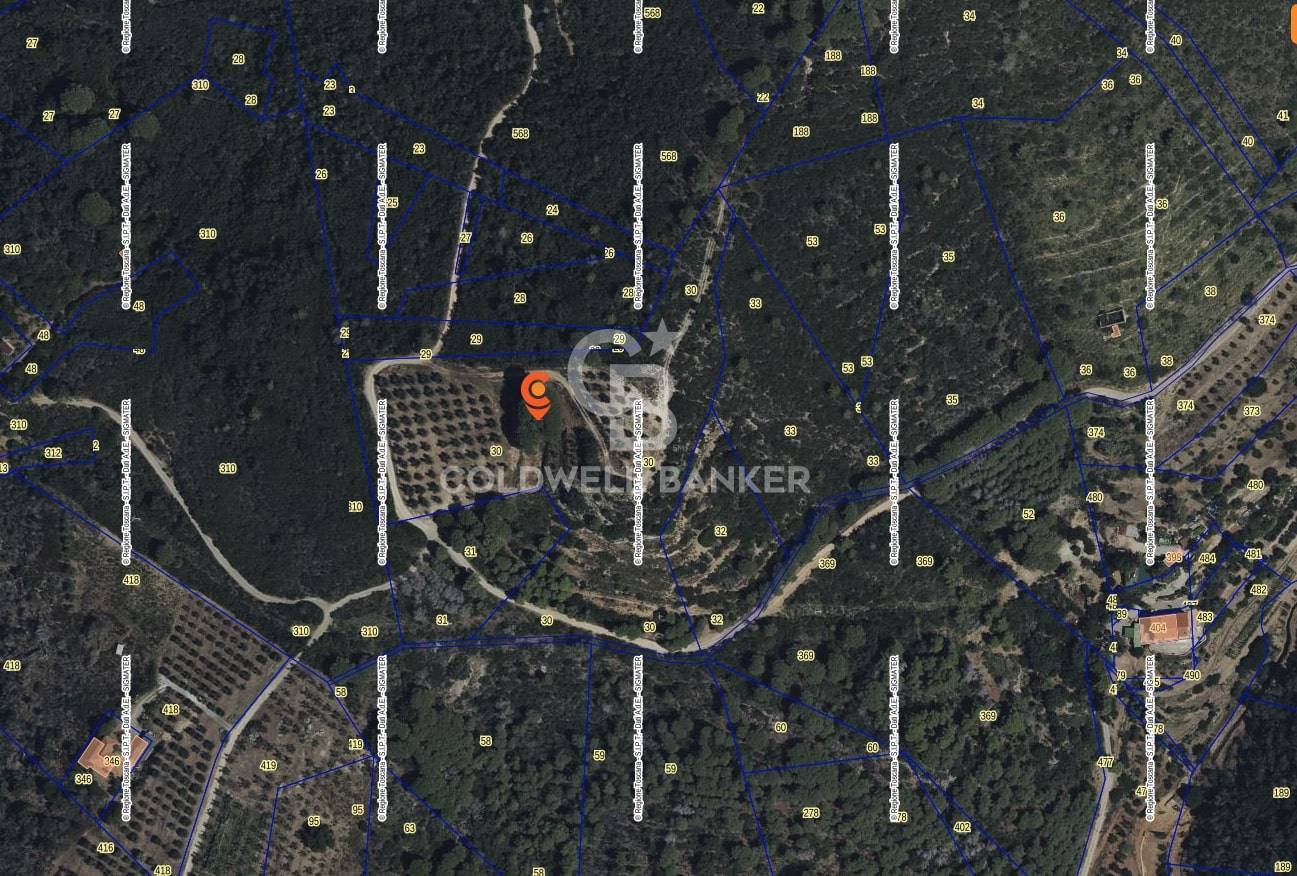 Terreno agricolo in vendita a Porto Azzurro