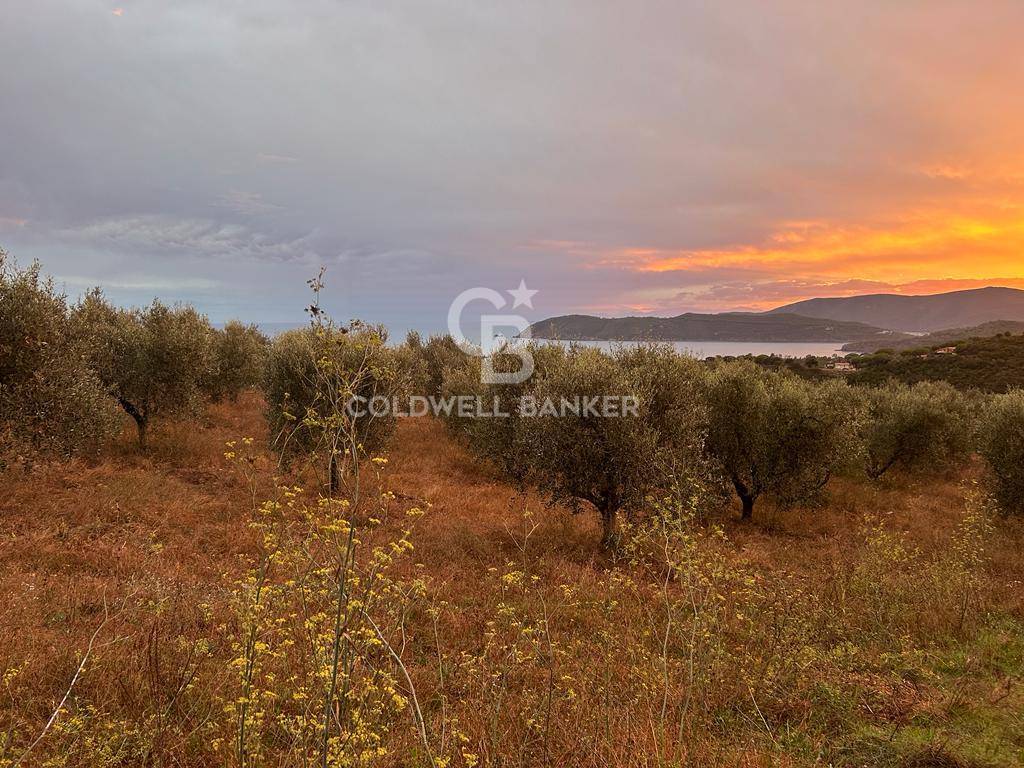 Terreno agricolo in vendita a Porto Azzurro