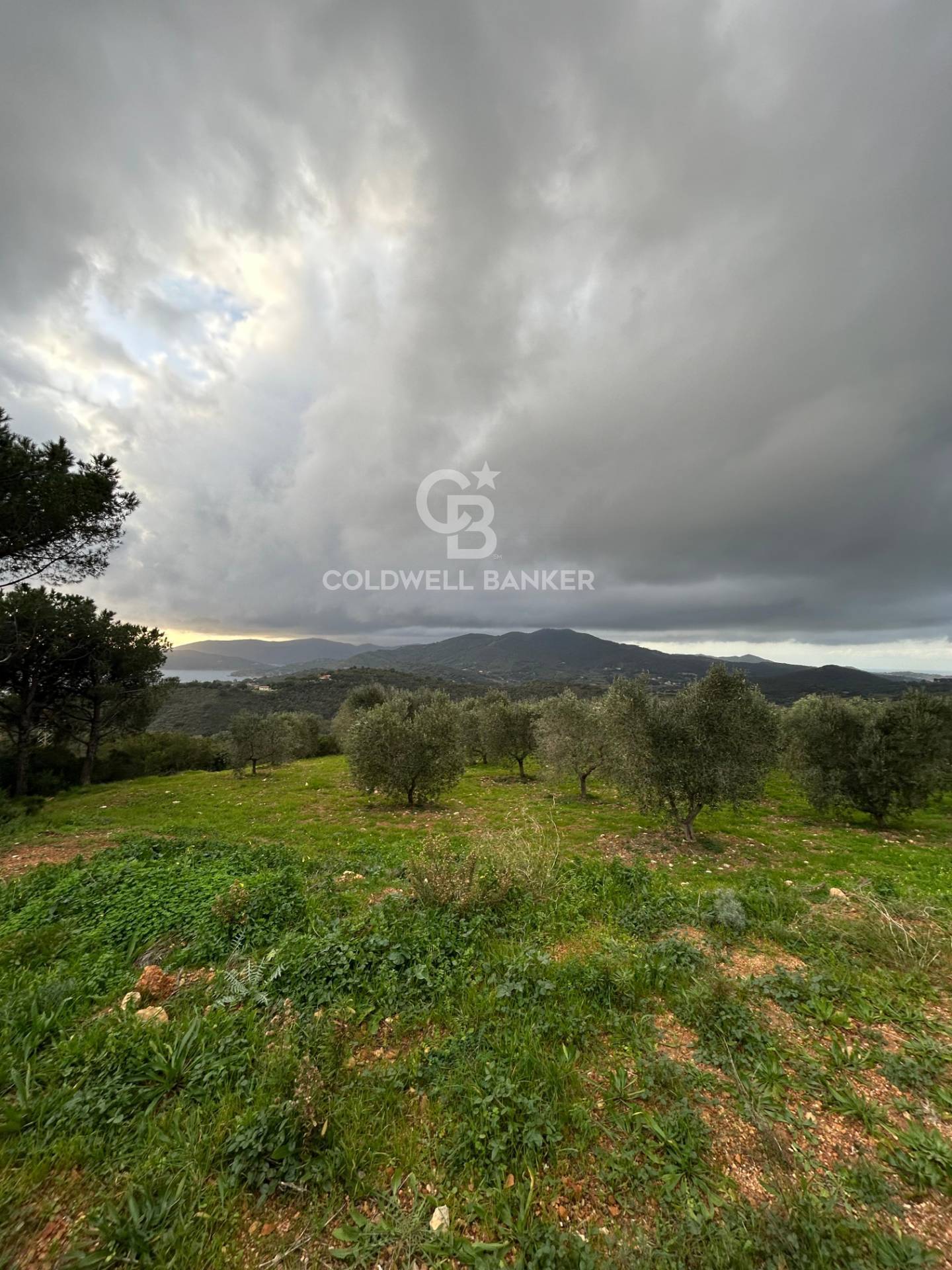 Terreno agricolo in vendita a Porto Azzurro
