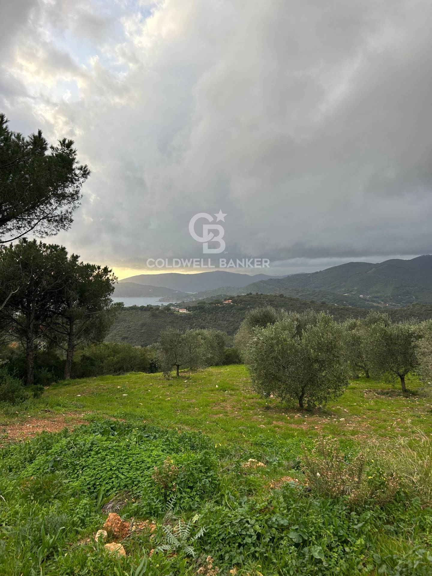 Terreno agricolo in vendita a Porto Azzurro
